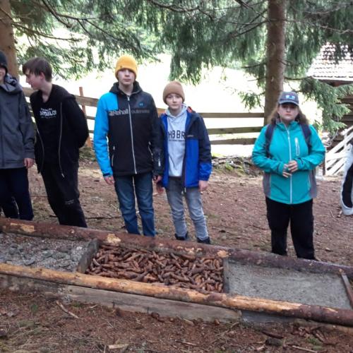 Wasserräder für den Wassersteig